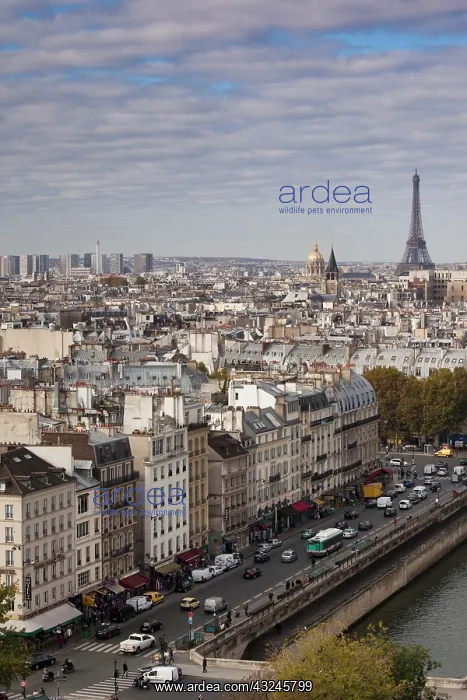 : France, Paris, elevated city view from the : France, Paris, elevated city view from the