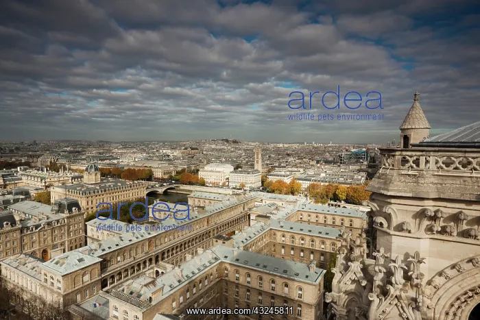 : France, Paris, elevated city view from the : France, Paris, elevated city view from the