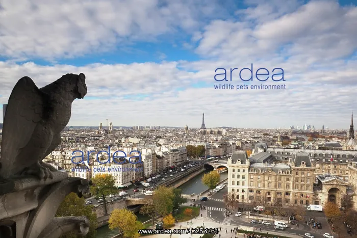 : France, Paris, elevated city view from the : France, Paris, elevated city view from the
