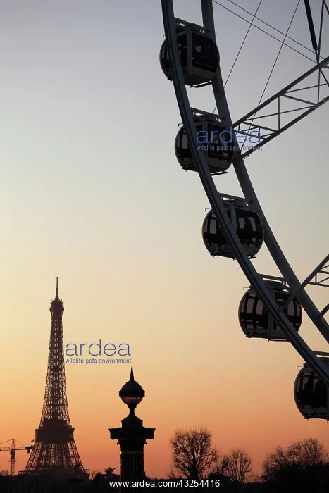 : France, Paris, Ferry wheel in Place de la : France, Paris, Ferry wheel in Place de la