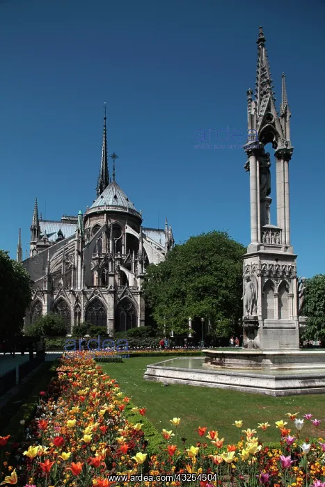 : France, Paris, The back garden and the rear : France, Paris, The back garden and the rear