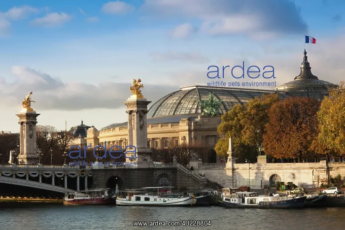 : France, Paris, Grand Palais and Pont Alexandre : France, Paris, Grand Palais and Pont Alexandre