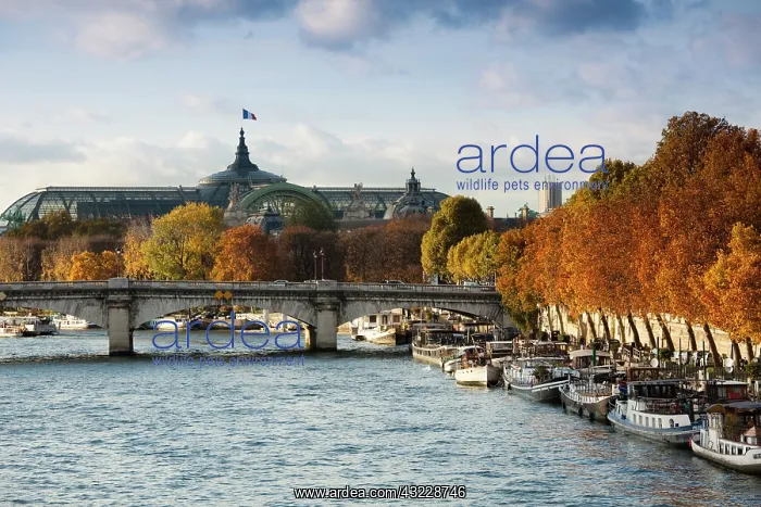 : France, Paris, Grand Palais and Seine River : France, Paris, Grand Palais and Seine River