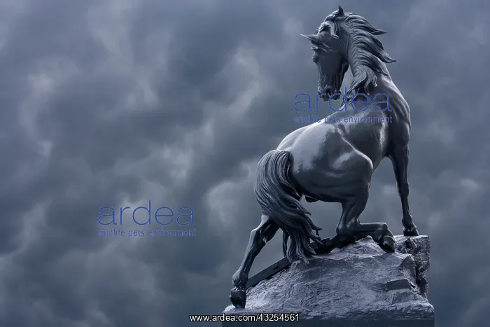 : France, Paris. Horse sculpture against storm : France, Paris. Horse sculpture against storm