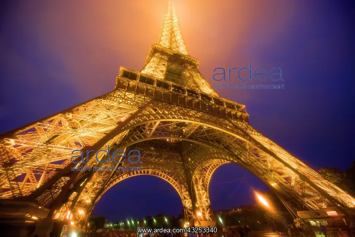 : France, Paris. Looking up from base of Eiffel : France, Paris. Looking up from base of Eiffel