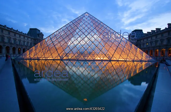 : France, Paris. The Louvre at twilight : France, Paris. The Louvre at twilight