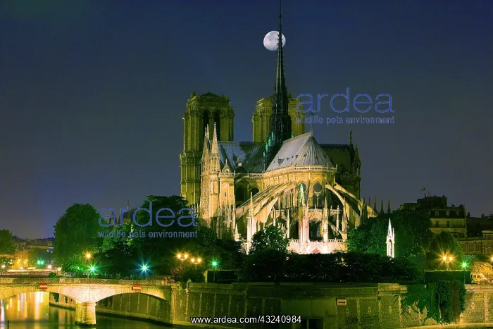 : France, Paris. Full moon over Notre Dame : France, Paris. Full moon over Notre Dame