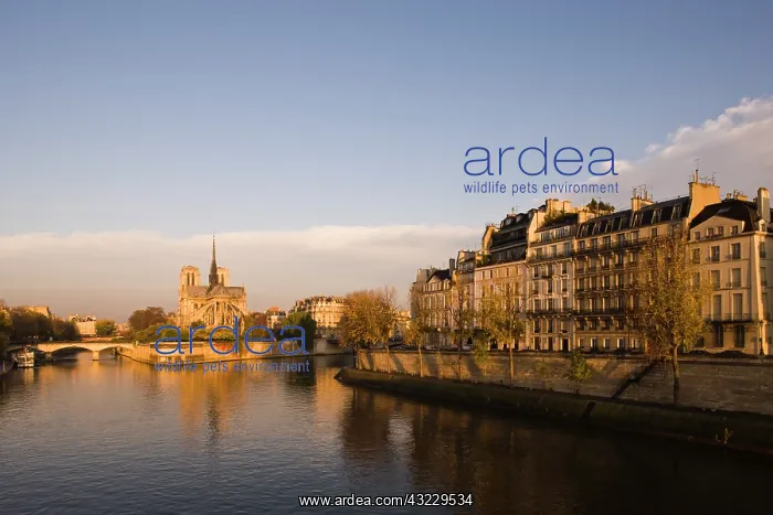: France, Paris, Notre-Dame cathedral and : France, Paris, Notre-Dame cathedral and