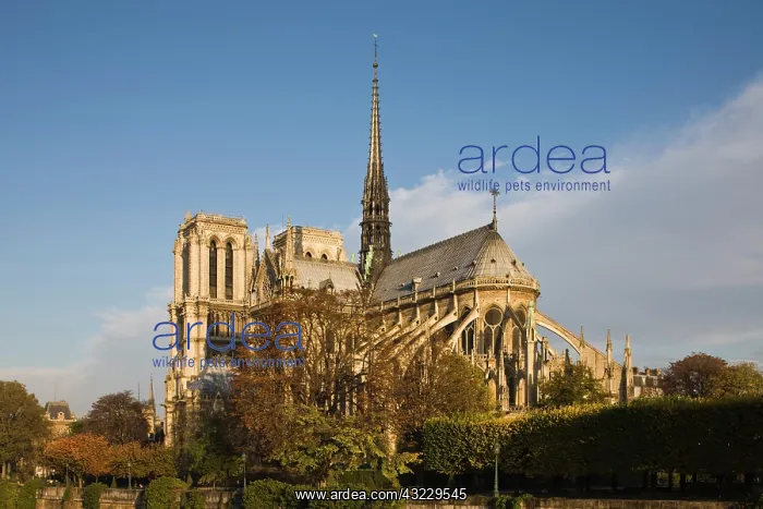 : France, Paris, Notre-Dame cathedral with : France, Paris, Notre-Dame cathedral with