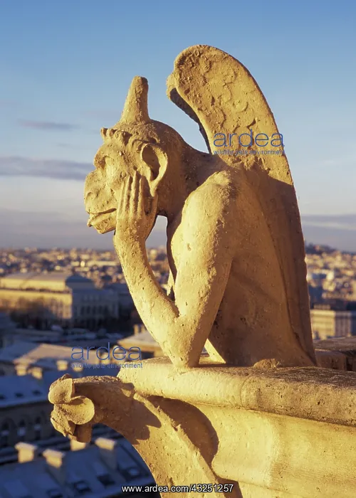 : France, Paris. Notre Dame Cathedral gargoyle : France, Paris. Notre Dame Cathedral gargoyle