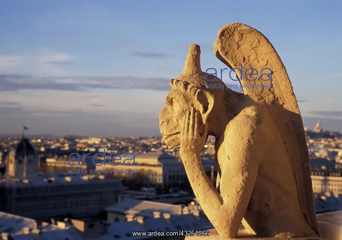 : France, Paris. Notre Dame Cathedral gargoyle : France, Paris. Notre Dame Cathedral gargoyle