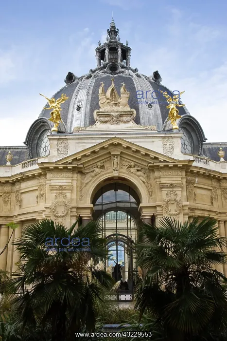 : France, Paris, Petit Palais museum, courtyard : France, Paris, Petit Palais museum, courtyard