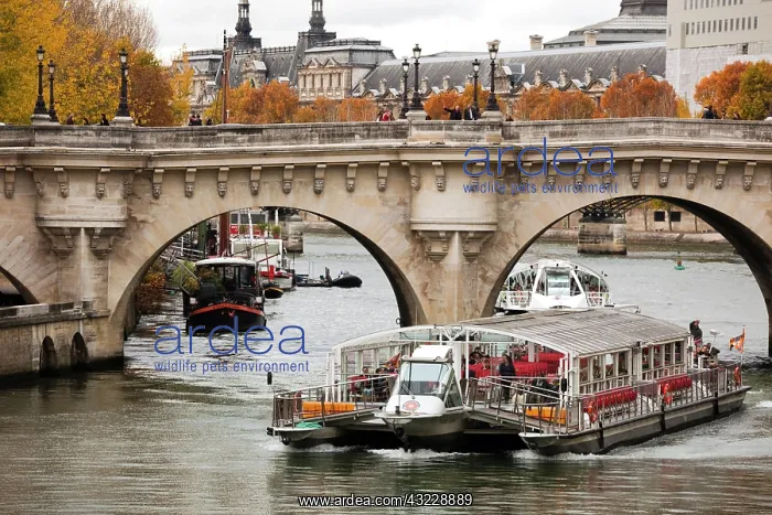: France, Paris, Pont Neuf bridge, Seine River : France, Paris, Pont Neuf bridge, Seine River
