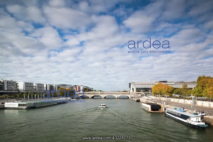 : France, Paris, Seine River and the Quai : France, Paris, Seine River and the Quai