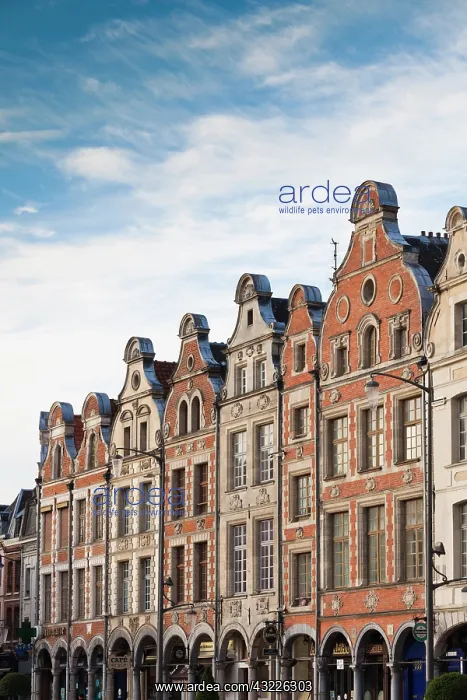  : France, Pas de Calais, Arras, Grand Place