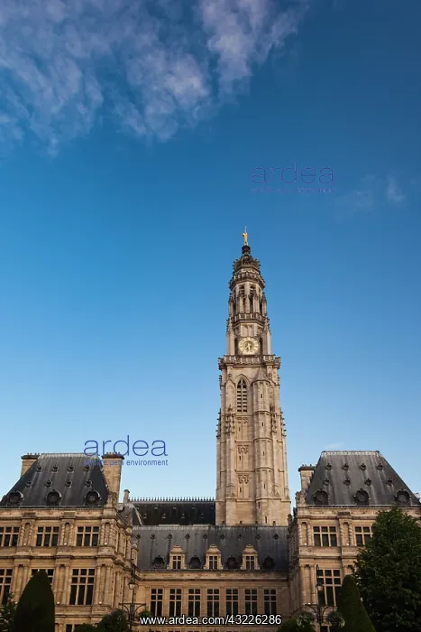  : France, Pas de Calais, Arras, town hall
