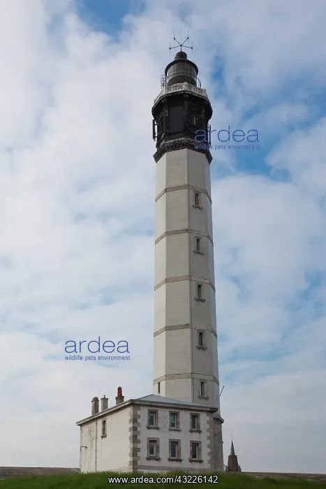 : France, Pas de Calais, Calais, lighthouse : France, Pas de Calais, Calais, lighthouse
