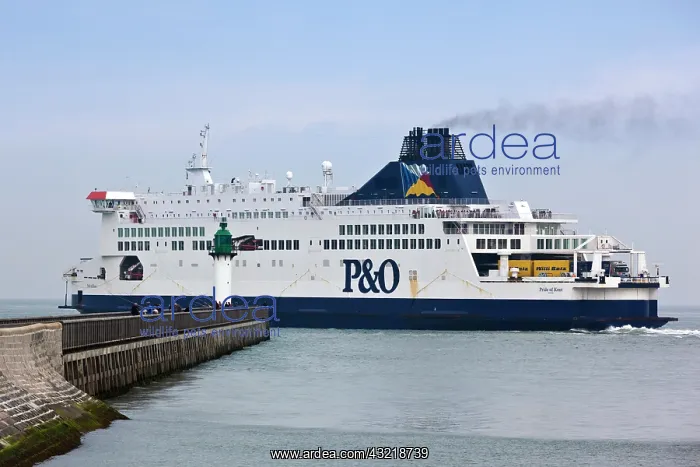 : France, Pas de Calais, Calais, port, English : France, Pas de Calais, Calais, port, English