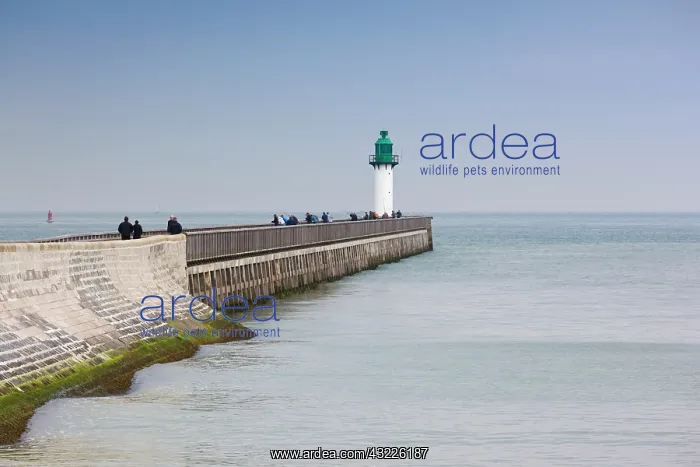 : France, Pas de Calais, Calais, port, Le : France, Pas de Calais, Calais, port, Le