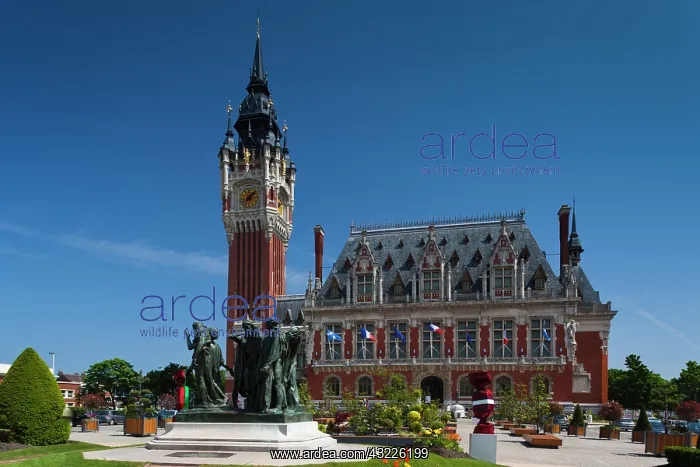 : France, Pas de Calais, Calais, town hall : France, Pas de Calais, Calais, town hall