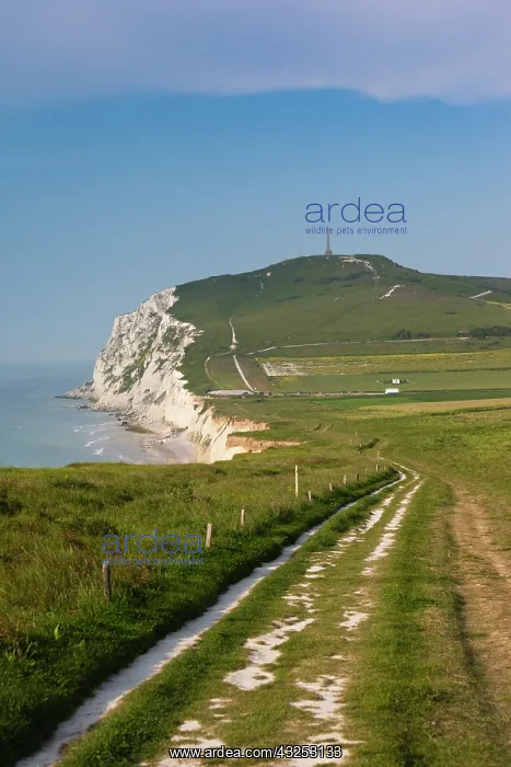 : France, Pas de Calais, Cote d'Opale, Escalles : France, Pas de Calais, Cote d'Opale, Escalles