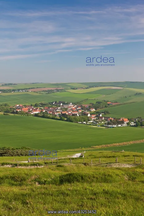: France, Pas de Calais, Cote d'Opale, Escalles : France, Pas de Calais, Cote d'Opale, Escalles