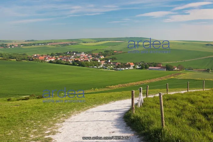 : France, Pas de Calais, Cote d'Opale, Escalles : France, Pas de Calais, Cote d'Opale, Escalles