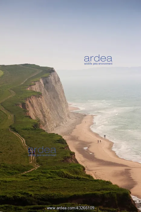 : France, Pas de Calais, Cote d'Opale, Escalles : France, Pas de Calais, Cote d'Opale, Escalles