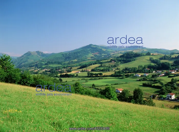 : France, Pays-Basque, Pyrenees-Atlantiques : France, Pays-Basque, Pyrenees-Atlantiques
