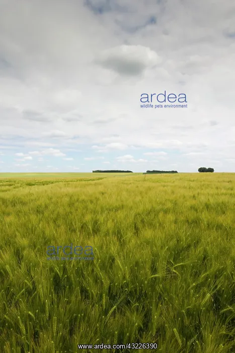 : France, Picardy, Somme Battlefields, Ovilliers-La : France, Picardy, Somme Battlefields, Ovilliers-La