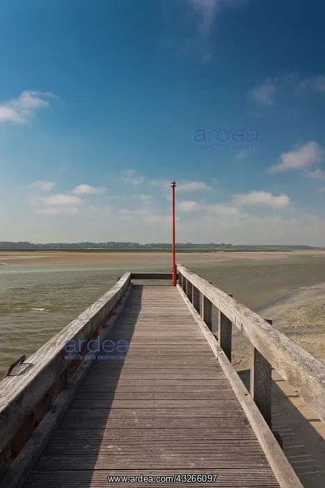 : France, Picardy, Somme, Le Crotoy, Somme : France, Picardy, Somme, Le Crotoy, Somme