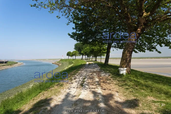: France, Picardy, Somme, St-Valery sur Somme : France, Picardy, Somme, St-Valery sur Somme