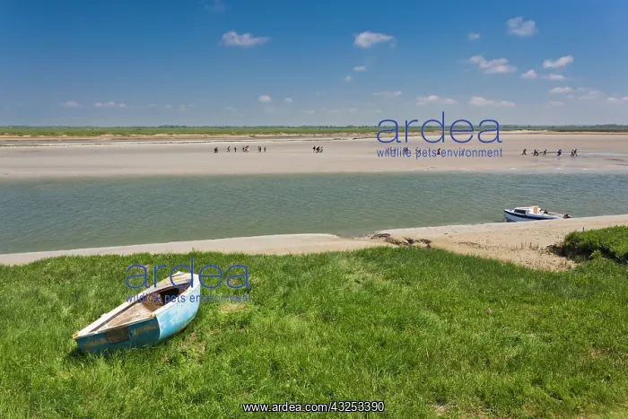 : France, Picardy, Somme, St-Valery sur Somme : France, Picardy, Somme, St-Valery sur Somme