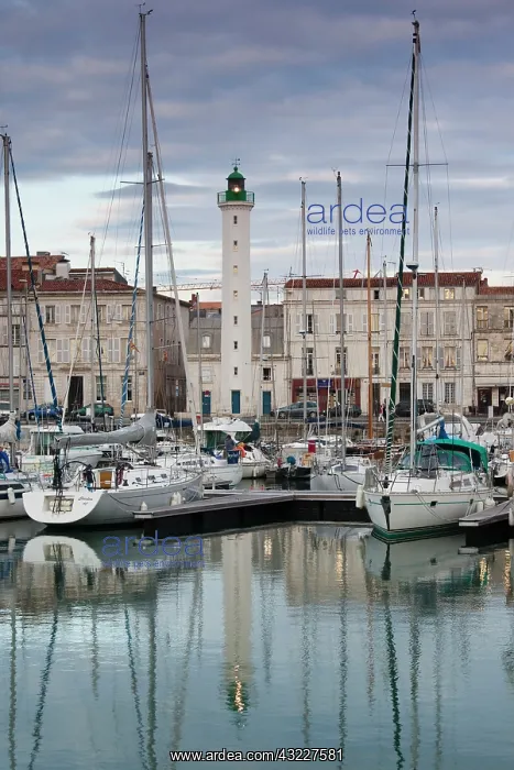 : France, Poitou-Charentes Region, Charente-Maritime : France, Poitou-Charentes Region, Charente-Maritime