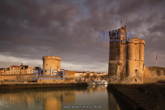 : France, Poitou-Charentes Region, Charente-Maritime : France, Poitou-Charentes Region, Charente-Maritime