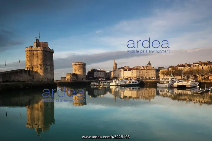 : France, Poitou-Charentes Region, Charente-Maritime : France, Poitou-Charentes Region, Charente-Maritime