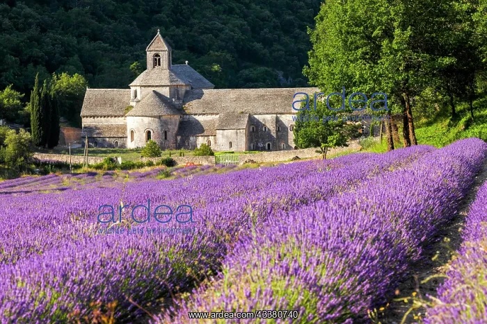 : France, Provence Alps Cote d'Azur, Haute Provence : France, Provence Alps Cote d'Azur, Haute Provence