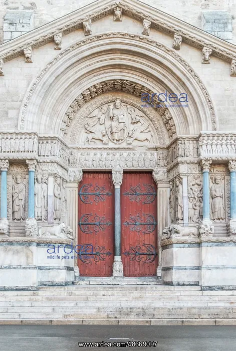 : France, Provence, Arles. Saint-Trophime Church (formerly the : France, Provence, Arles. Saint-Trophime Church (formerly the