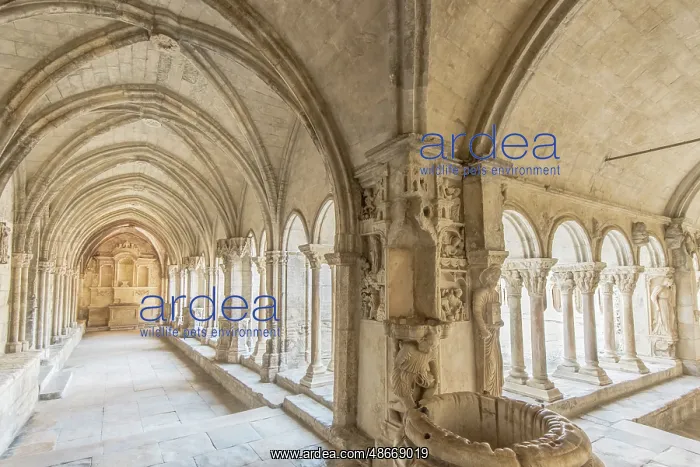 : France, Provence, Arles. Saint Trophime Cloister (Cloitre : France, Provence, Arles. Saint Trophime Cloister (Cloitre