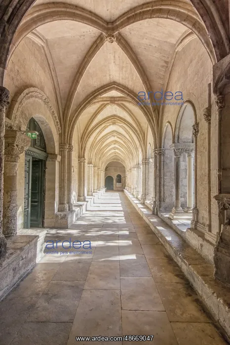  : France, Provence, Arles. Saint Trophime Cloister (Cloitre