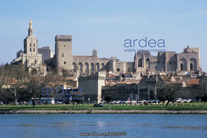 : France, Provence, Avignon. View of the Palais : France, Provence, Avignon. View of the Palais