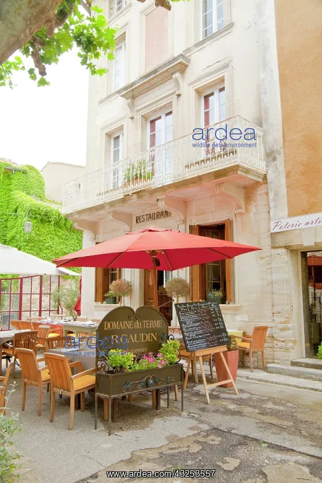 : France, Provence, Gigondas : France, Provence, Gigondas