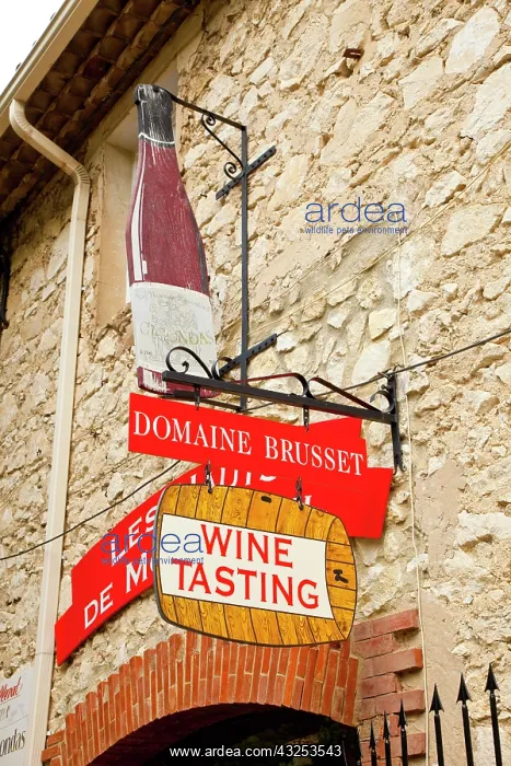 : France, Provence, Gigondas. Sign for wine-tasting : France, Provence, Gigondas. Sign for wine-tasting
