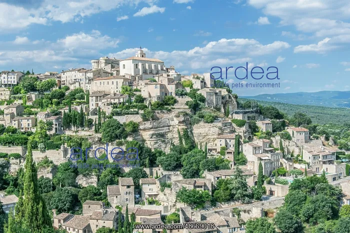 : France, Provence, Gordes : France, Provence, Gordes