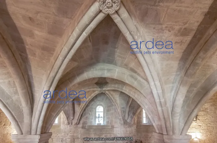 : France, Provence, Gordes. Abbey of Our Lady of Senanque : France, Provence, Gordes. Abbey of Our Lady of Senanque