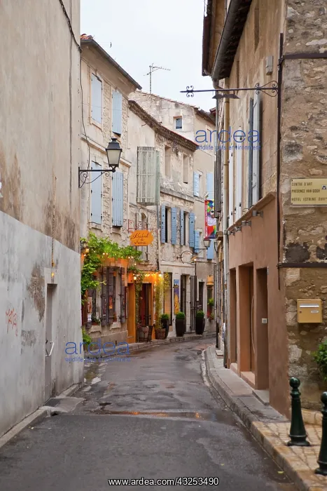 : France, Provence, St. Remy-de-Provence : France, Provence, St. Remy-de-Provence