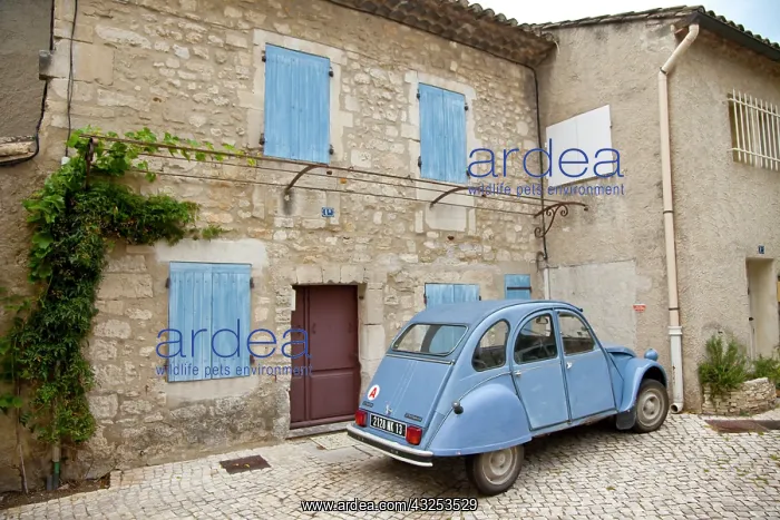 : France, Provence, St. Remy-de-Provence : France, Provence, St. Remy-de-Provence