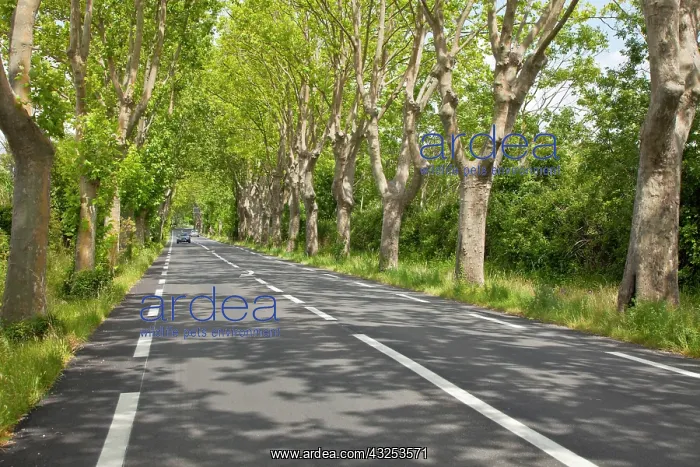 : France, Provence, St. Remy-de-Provence : France, Provence, St. Remy-de-Provence