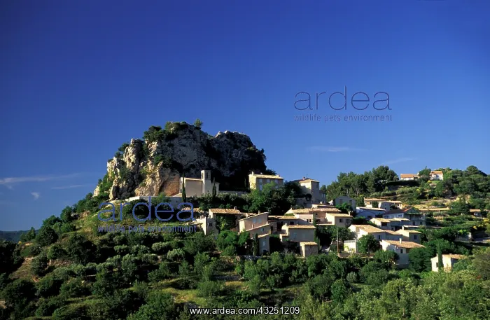: France, Provence, Vaucluse, la Roque-Alric : France, Provence, Vaucluse, la Roque-Alric