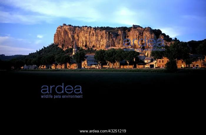 : France, Provence, Vaucluse, Mornas. Village : France, Provence, Vaucluse, Mornas. Village